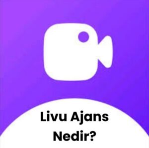 Livu Ajans